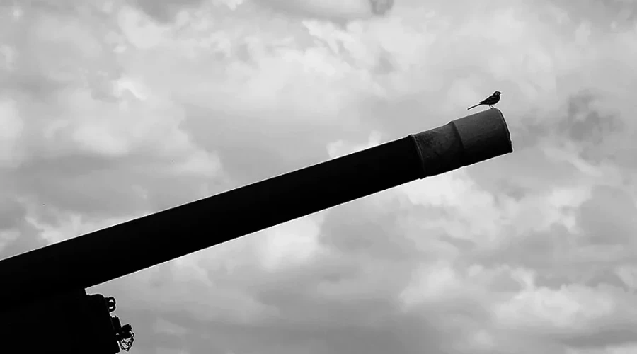 Россиян предупредили о штрафе за выбивание ковра во дворе