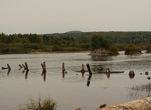 Под Екатеринбургом нашли крайне загрязнённую реку