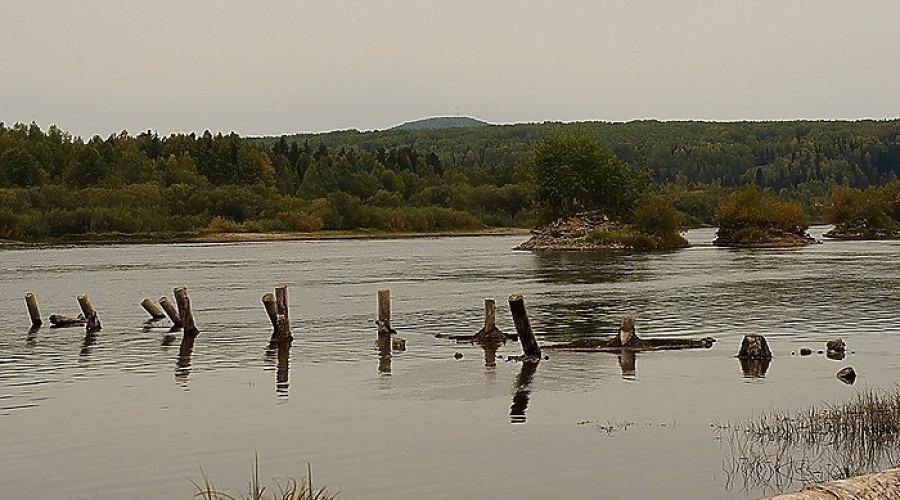 Под Екатеринбургом нашли крайне загрязнённую реку