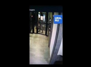 В Тюмени наркоманы атакуют ЖХ комфорт-класса в поисках закладки