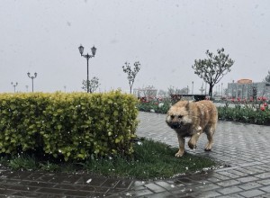Синоптик сообщила, когда настоящее тепло придет в Свердловскую область