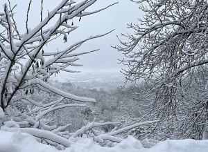На Свердловскую область надвигается сильный снегопад