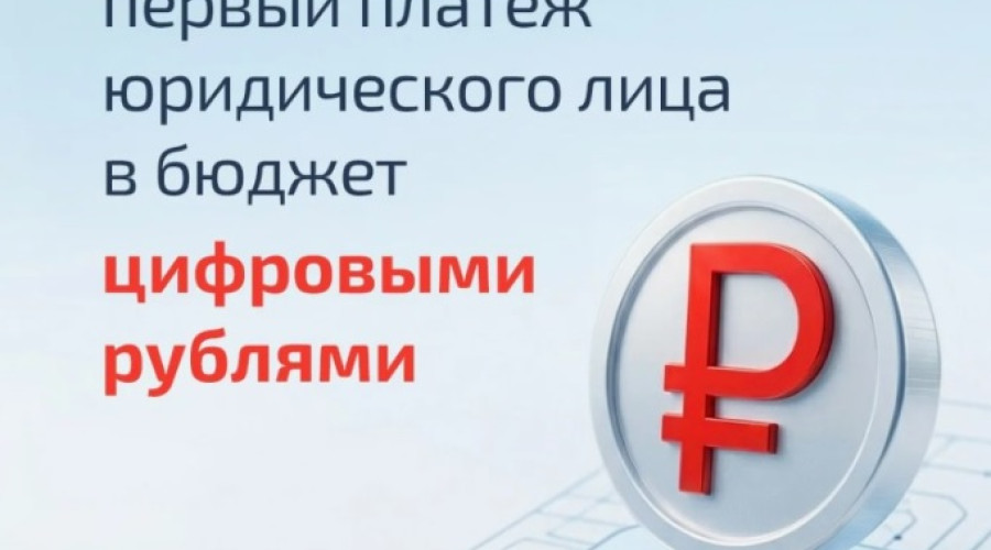 В Чувашии совершили первый в России платеж в бюджет цифровым рублем.