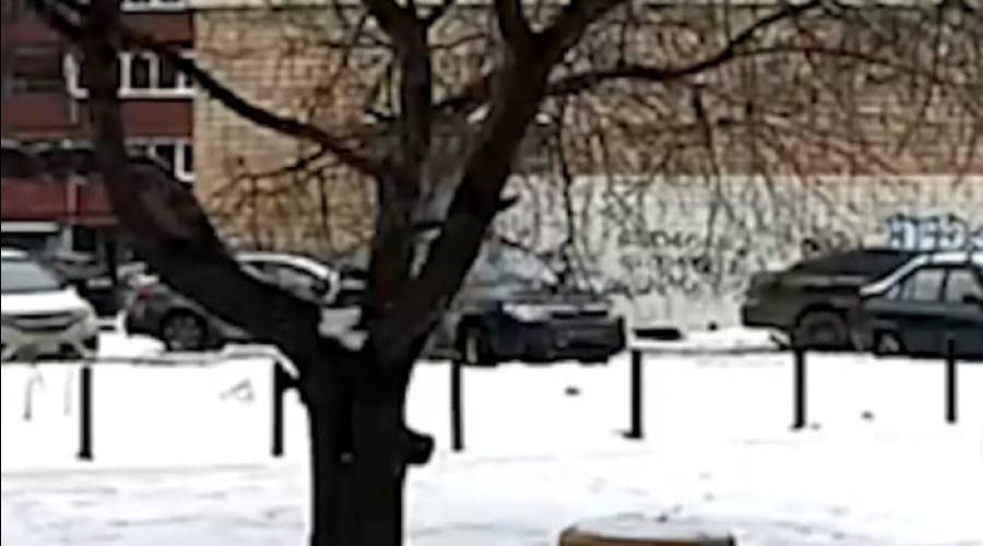 Появилось видео, как высокопоставленный полицейский насмерть сбил женщину в Екатеринбурге