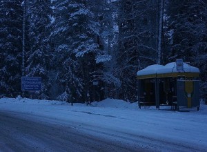 Из Екатеринбурга уже в январе начнут ходить автобусы до Казани