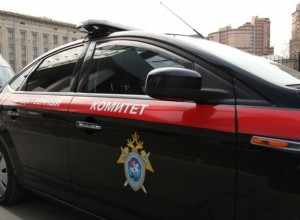 Телефон погибшей на заборе 18-летней пермячки был найден в лесу
