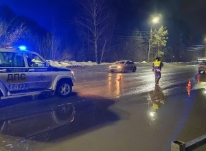 Под Екатеринбургом легковушка насмерть сбила пенсионерку у пешеходного перехода