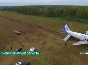 Посадившие самолет в поле под Новосибирском пилоты Ural Airlines потеряли работу