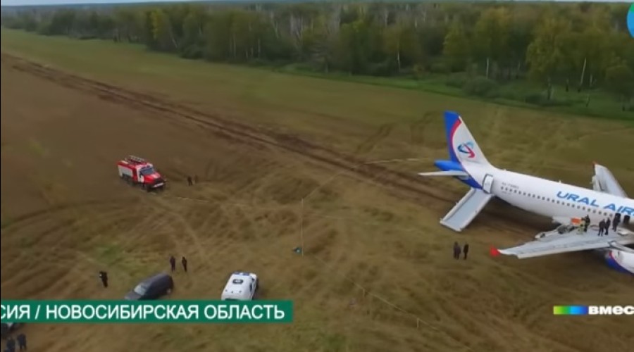 Посадившие самолет в поле под Новосибирском пилоты Ural Airlines потеряли работу