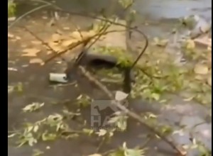 Бетонная плита упала с крыши уральской школы