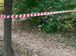«Ищу половинку». Мигрант зверски убил в Москве незнакомую женщину