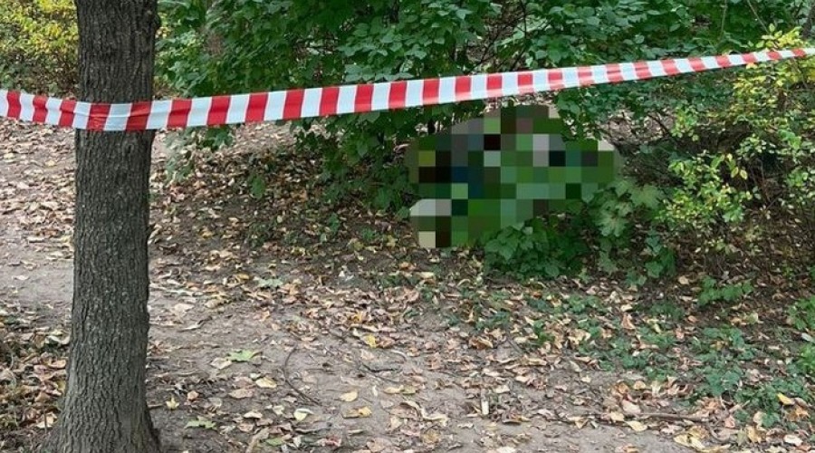 «Ищу половинку». Мигрант зверски убил в Москве незнакомую женщину