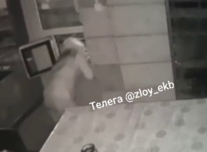 Воры-сладкоежки объявились в Екатеринбурге