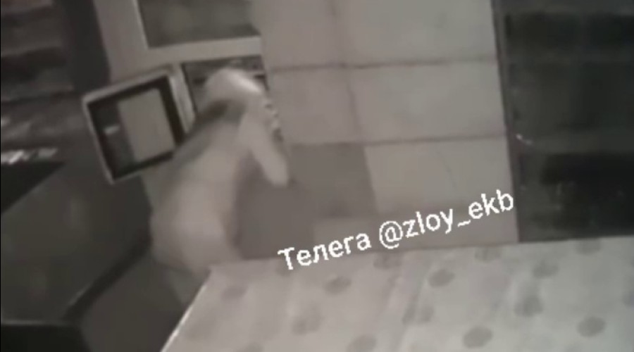 Воры-сладкоежки объявились в Екатеринбурге
