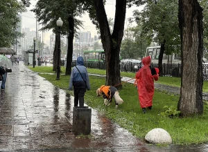 Похолодание и дожди идут в Свердловскую область