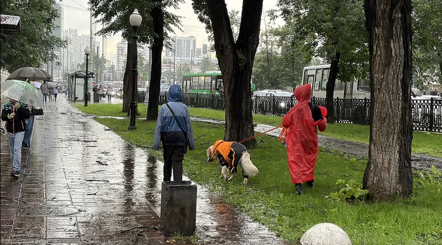 Похолодание и дожди идут в Свердловскую область