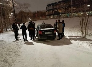 В Екатеринбурге лихач устроил гонки по парку