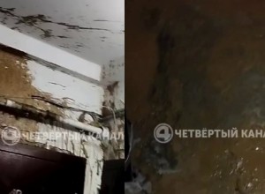 Под Екатеринбургом неизвестные облили подъезд фекалиями