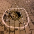 problem