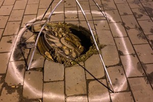 Провал в парке 
