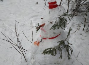 «Кто празднику рад». В Екатеринбурге забронировали почти все коттеджи на Новый год