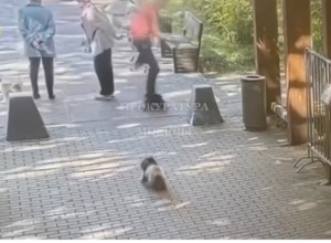 В Москве вынесли приговор мужчине, который на роликовых коньках насмерть сбил пенсионерку