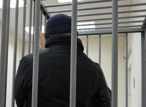 Подозреваемый в причинении побоев екатеринбургскому учёному помещён под стражу