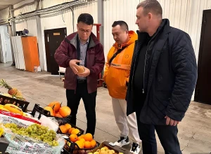 В Свердловскую область привезут фрукты и овощи из Китая
