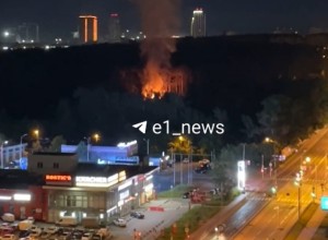 Возле Ботанического сада вспыхнул пожар