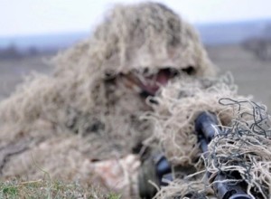 ТАСС сообщил о прибытии в Грузию подготовленных на Украине снайперов