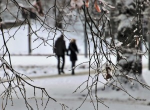 Какие законы вступают в России в силу с 1 февраля