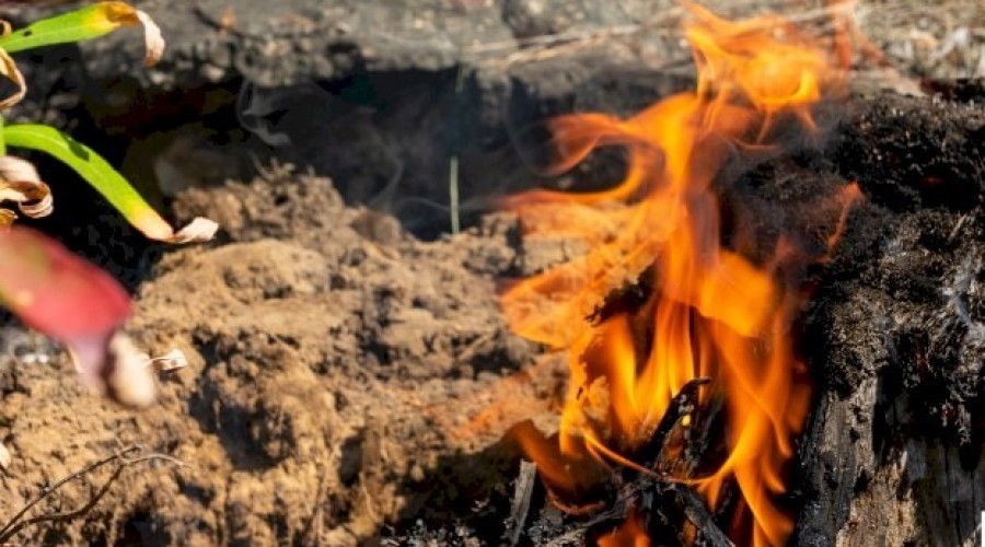 Уральцы заплатили за нарушение пожарной безопасности в лесах втрое больше, чем годом ранее