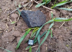 Исследователи УрФУ обнаружили обломки метеорита