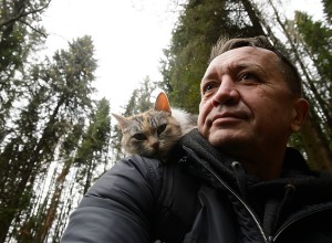 В Екатеринбурге рискует закрыться известный приют для кошек