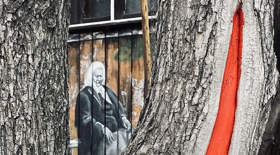 Стало известно, кто может уйти на пенсию досрочно