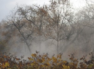 Холод до -5 градусов ждет свердловчан в ближайшие дни