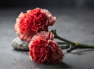 В Каменске-Уральском простятся с погибшим в Харьковской области участником СВО
