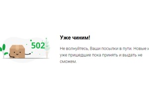 Екатеринбуржцы массово пожаловались на сбой известной службы доставки