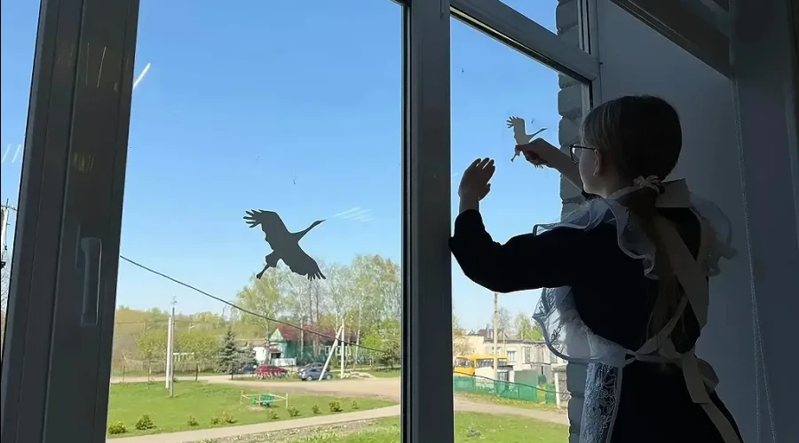 Три человека погибли при атаке БПЛА на Рязанскую область