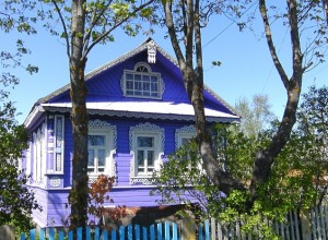 У уральцев начали изымать земельные участки из-за сорняков