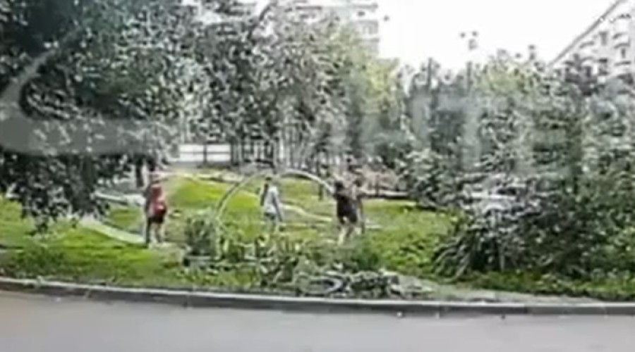 На Урале женщина избила 11-летнюю девочку посреди улицы