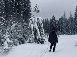 На Свердловскую область надвигаются мощные снегопады