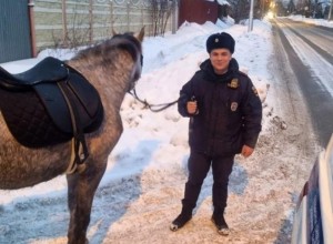 Явно не похоже на закладчика: в Екатеринбурге полицейские наткнулись на лошадь
