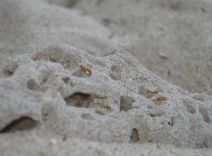 Из Екатеринбурга можно будет улететь в Камбоджу