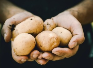 С начала года картофель подорожал в Екатеринбурге в 2,6 раза