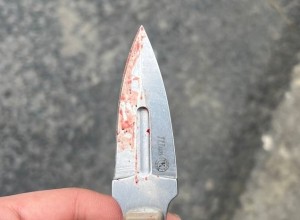 Подозреваемому в теракте в «Крокусе» при задержании отрезали ухо