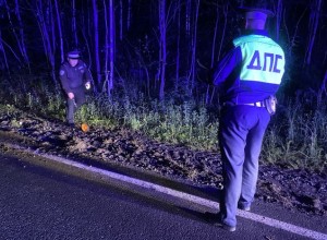 Водитель Ford погиб под Кировградом, вылетев из салона