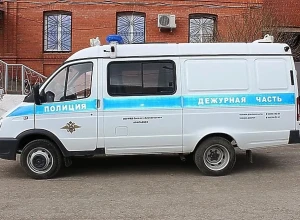 Следственный комитет возбудил дело из-за нападения хаски на детей в свердловском посёлке