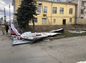 В Ревде сильный ветер повалил большую ель