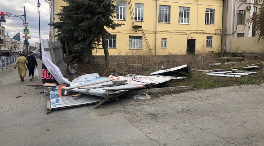 В Ревде сильный ветер повалил большую ель
